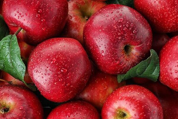 Как вырастить яблоки