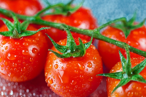 Как вырастить самые вкусные помидоры